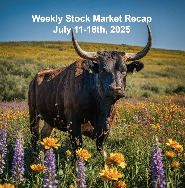 Weekly Stock Market Recap: July 11-18, 2025 – Insights from Link Financial Advisory