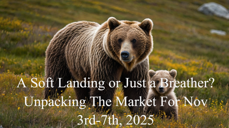 Navigating the November Dip: Tech Pullbacks, Shutdown Relief, and Smart Strategies for Household Financial Strength