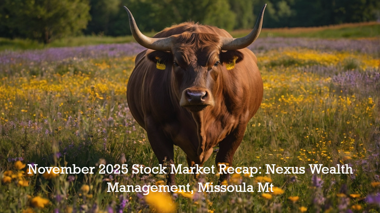 November 2025 Market Recap: Tech Resilience Meets Tariff Headwinds – A Path to Steady Growth